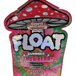 Strawberry Float Mushroom Gummies + Delta 9 THC 2500mg